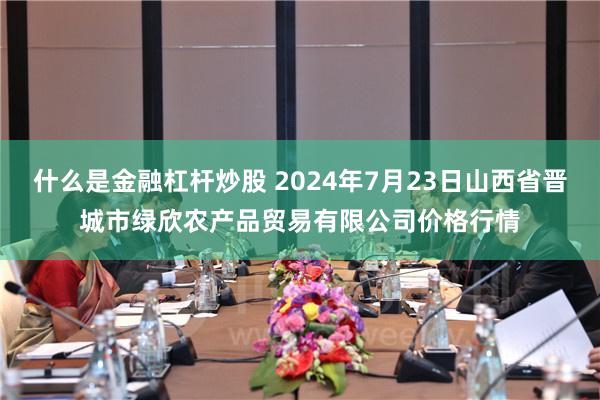 什么是金融杠杆炒股 2024年7月23日山西省晋城市绿欣农产品贸易有限公司价格行情