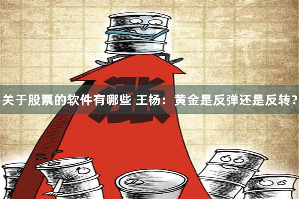 关于股票的软件有哪些 王杨：黄金是反弹还是反转？