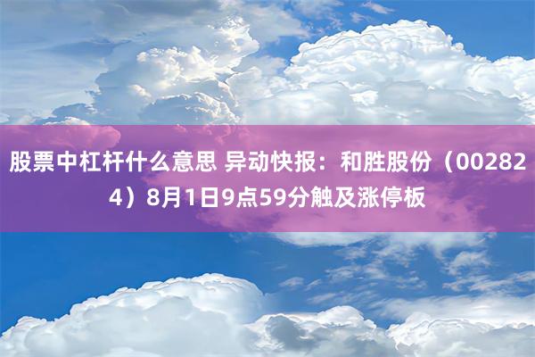 股票中杠杆什么意思 异动快报：和胜股份（002824）8月1日9点59分触及涨停板