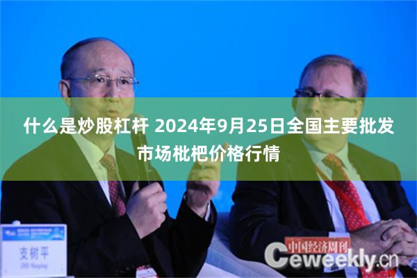 什么是炒股杠杆 2024年9月25日全国主要批发市场枇杷价格行情