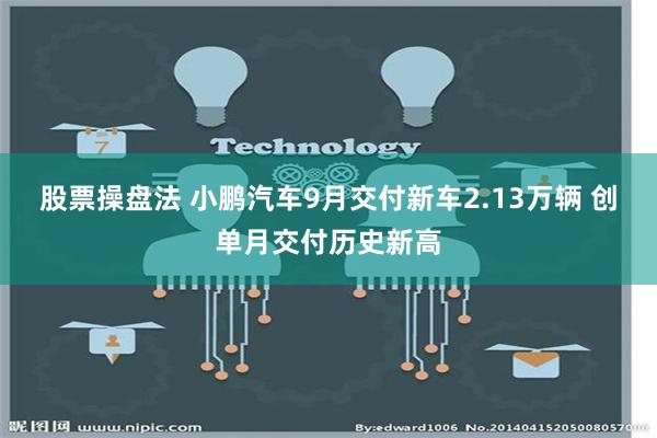 股票操盘法 小鹏汽车9月交付新车2.13万辆 创单月交付历史新高