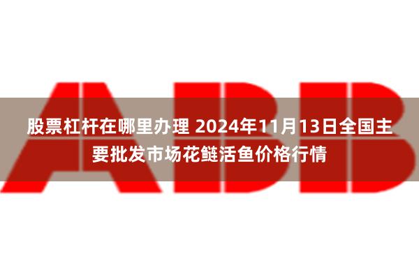 股票杠杆在哪里办理 2024年11月13日全国主要批发市场花鲢活鱼价格行情