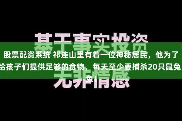 股票配资系统 祁连山里有着一位神秘居民，他为了给孩子们提供足够的食物，每天至少要捕杀20只鼠兔！