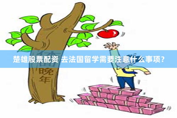 楚雄股票配资 去法国留学需要注意什么事项？